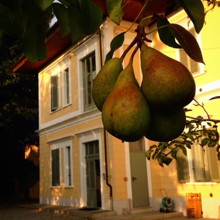 Villa D'Azeglio 알비아노디브레 외부 사진