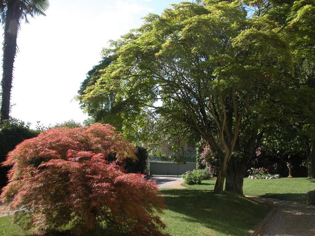 Villa D'Azeglio 알비아노디브레 외부 사진