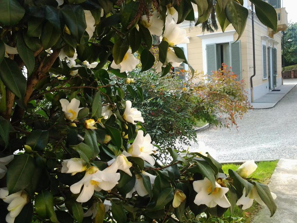 Villa D'Azeglio 알비아노디브레 외부 사진