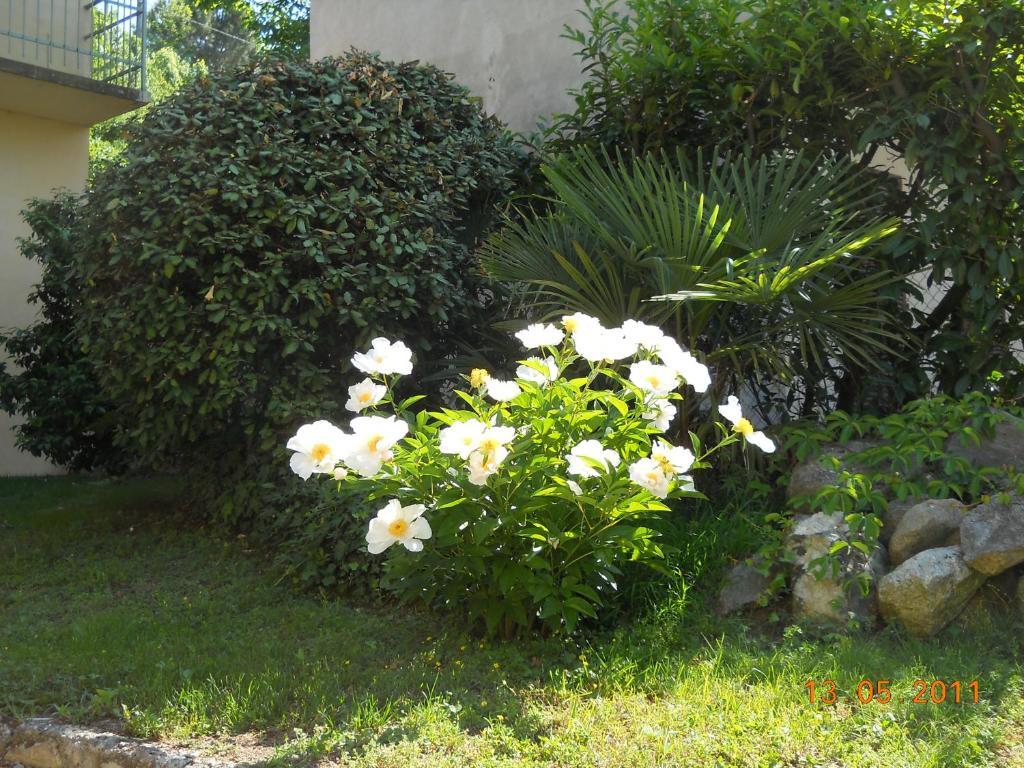 Villa D'Azeglio 알비아노디브레 외부 사진